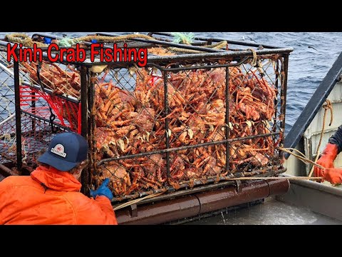 Awesome Big King Crab Trap Under The Sea - Catching & Processing A Lot Crabs Live On The Boat #02