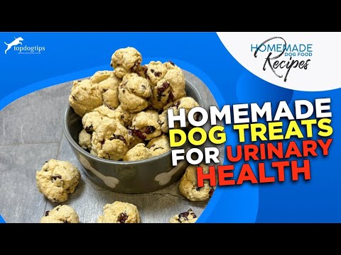 Recipe: Homemade Dog Treats for Urinary Health