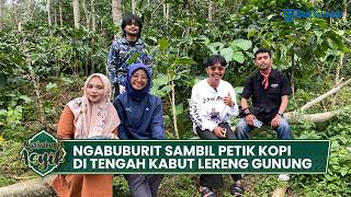 Ngabuburit Sambil Petik Kopi di Tengah Kabut Lereng Gunung Ungaran