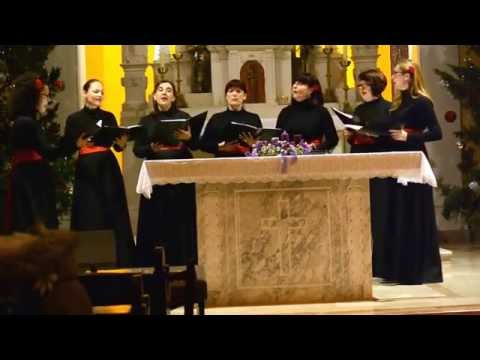 Klapa "Viole", Drvenik