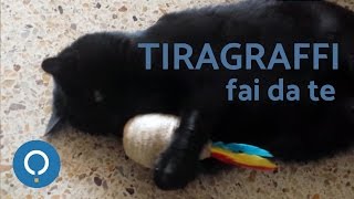 Il gioco tiragraffi