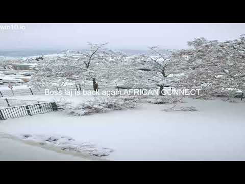 King Boss laj is back again #music #hiphop #kingbosslaj  #rap #fyp  #viral #singer #music