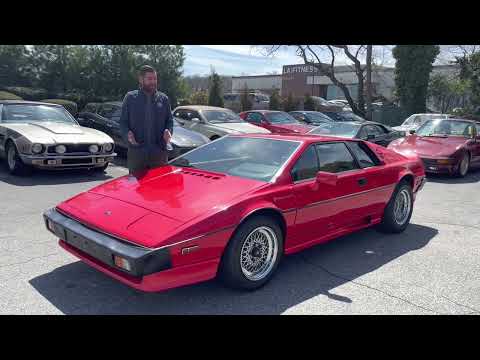 1987 Lotus Esprit (CC-1569623) for sale in Huntington Station, New York