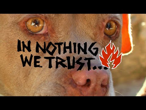 Black Label "In Nothing We Trust"