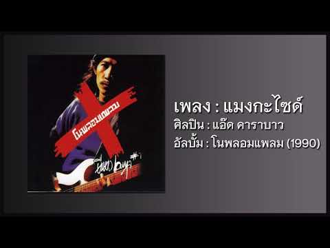 แอ๊ด คาราบาว - แมงกะไซด์ 【อัลบั้ม : โนพลอมแพลม】 (Audio)