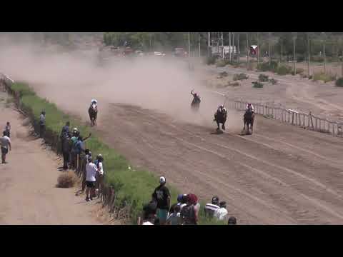 REVOLTOSO Club Hipico Añelo, Domingo 12 de enero 2025