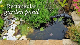 How to Build a Small Wildlife Pond