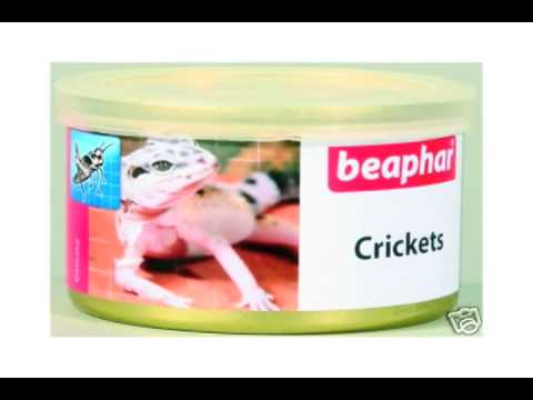 ebay.co.uk - Canned Crickets