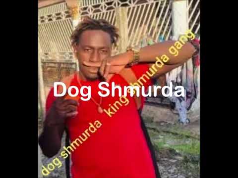 Dog Shmurda - Kingi new weli