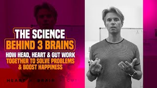 Inner wisdom healing is this possible? YES and it needs our 3 brains.
