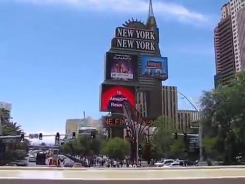 Tanja Stankovic - LAS VEGAS,NEVADA