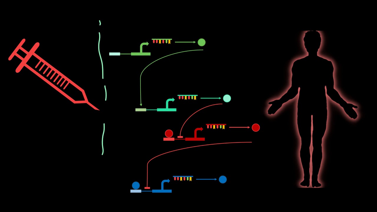 Course 0: Lesson 0: Introduction to Biomodeling