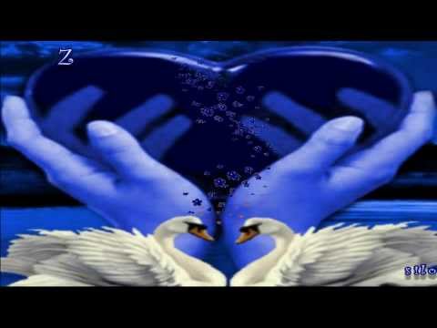 Zavolis pa Zabolis (✪‿✪) Mujo Isanovic