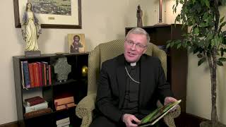 Story Time with Bishop Vetter | Zacchaeus and Jesus