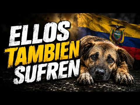MALTRANO ANIMAL EN ECUADOR, UNA TRISTE REALIDAD | RSN Tulcán