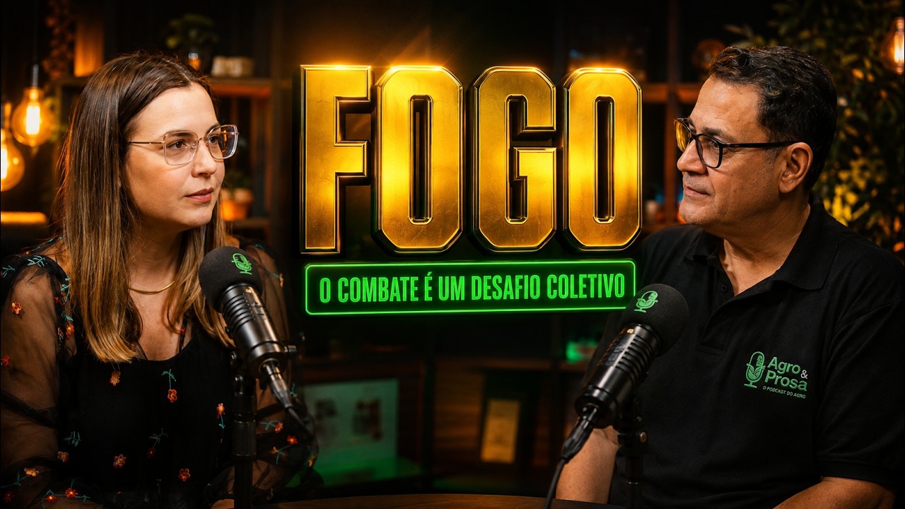Além das chamas: o comportamento humano diante do fogo