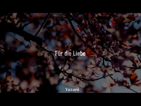 Berge - Für die Liebe (Sub + Español)