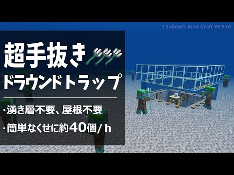 トライデントヤシ、Trithrinax Campestris