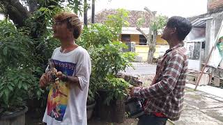 Download lagu Sugeng Dalu - Cover Somi & Indro Pengamen Madiun mp3