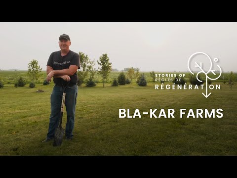 No-till farming at Bla-Kar Farms - Stories of Regeneration