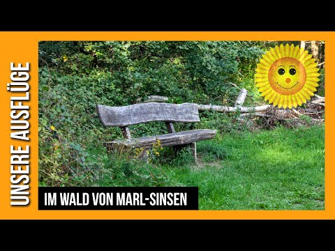 Im Wald von Marl-Sinsen