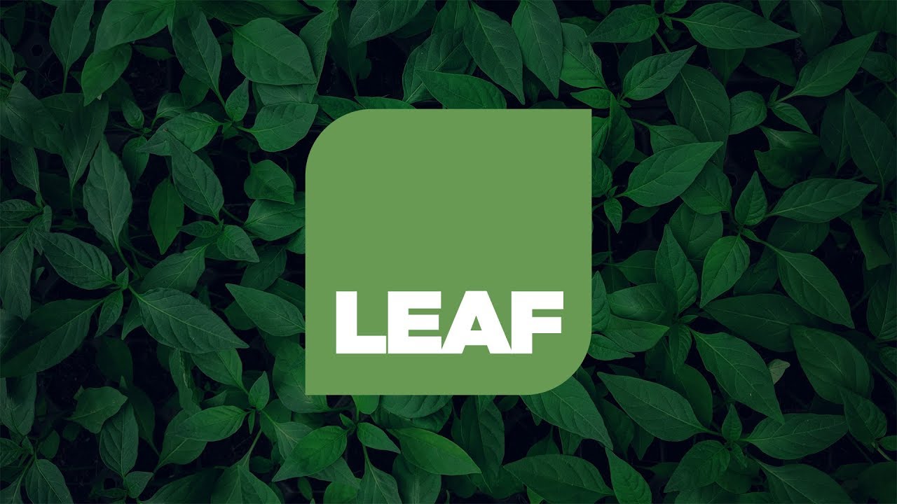 Leaf Communications – full service marketing agency in the UK