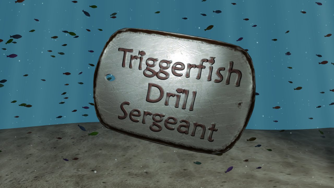 Triggerfish Drill Sergeant - Launch Trailer - YouTube