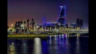 Download lagu C'est La Vie (Slowed Reverb) mp3