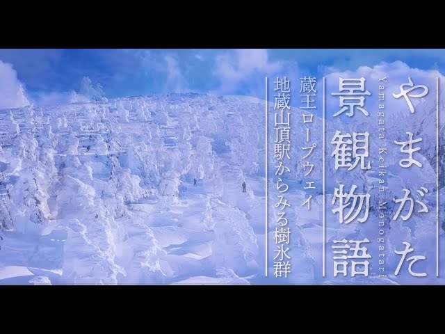 ［やまがた景観物語］蔵王ロープウェイ地蔵山頂駅からみる樹氷群（ドローン空撮）