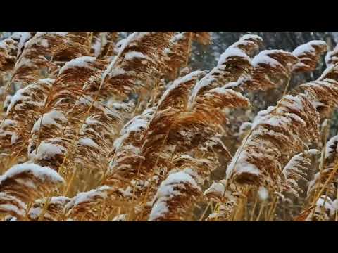 13JAW - DE NUEVO #EP-ÍLOGO