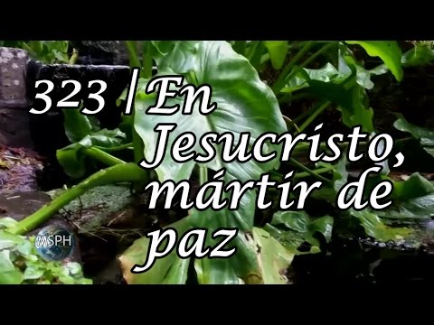 HA62 | Himno 323 | En Jesucristo, mártir de paz