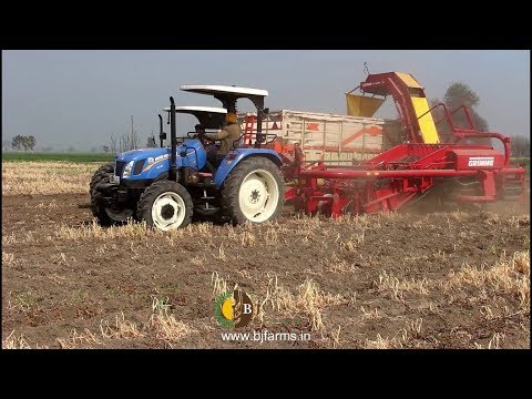 Newholland 6010 with Grimme DL 1500 Potato Harvestor at Bj farms