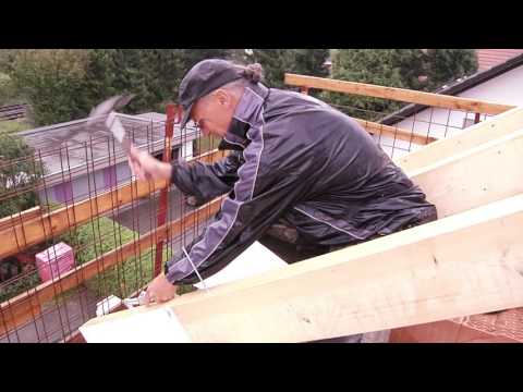 LebensART Adrian Wetzstein | Bad Säckingen