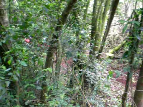 Equipe Cross Cafelândia - AA - Dudu - T01 - 05-09-09