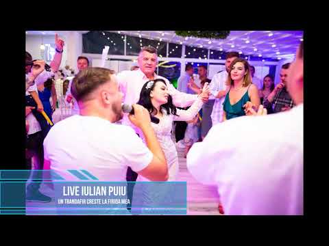 Iulian Puiu - Machedonesti Live 2021