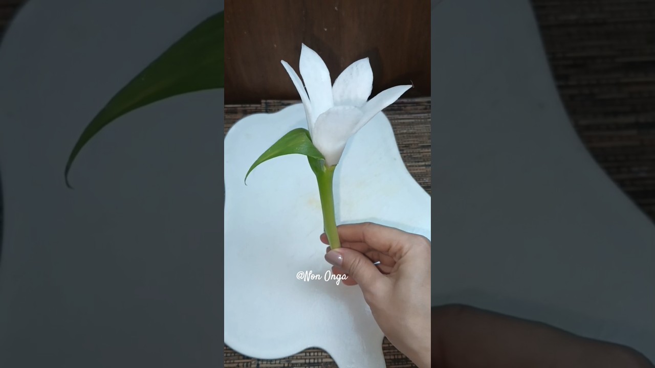 garnish lobak#shortvideo #diy #garnish #garnishing