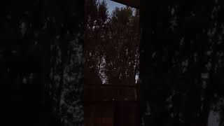 Aube depuis un balcon moderne,le charme de la nature dans la ville écologique de