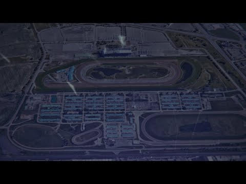 Results From Woodbine Racetrack