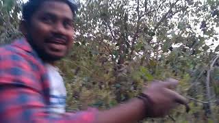 preview picture of video 'FT. SADAB SAHID , SOME FUNNY MOMENTS , TRIP WITH FRIENDS NEAR SHIVGAADI 1'