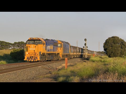 Broad Gauge Grain Train with XR554 & BL29 Arriving At Gheringhap (16/11/2020) - PoathTV Railways