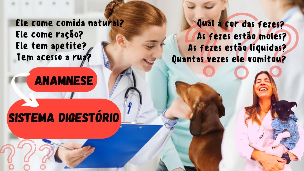 Anamnese do sistema digestório de animais pequenos (cachorro, gato)