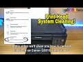 How to Perform System Cleaning or Ink Flushing on Canon G2010 without Computer | INKfinite