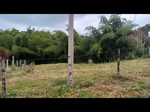 [LOTE]Venta de Lotes Vía Filandia – Quimbaya. Quindío. COD: 9804874