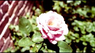 The Mission by Chris Botti (Kristian Nelson Project [Origins])