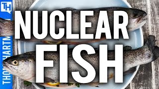 Fukushima Nuclear Fish Coming to Your Plate, Happy? (w/ Kevin Kamps)