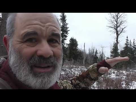 Last archery hunt Wisconsin regular season