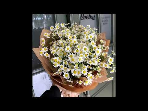 AREUDIE, Liltama - Gelap & Terang (Prod. Liltama)