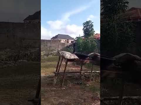 Half Plot of Dry Land for Sale – Bucknor, Lagos