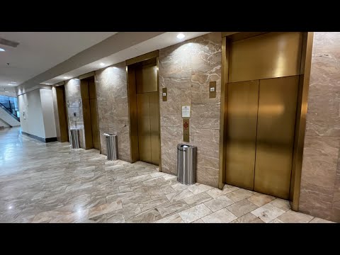 Fast High Rise Westinghouse Elevators at the Hilton Mark Center - Alexandria, VA