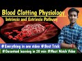 Intrinsic and Extrinsic Pathway || Blood Coagulation Physio ||Lectures||MBBS ||hindi|| Ashish